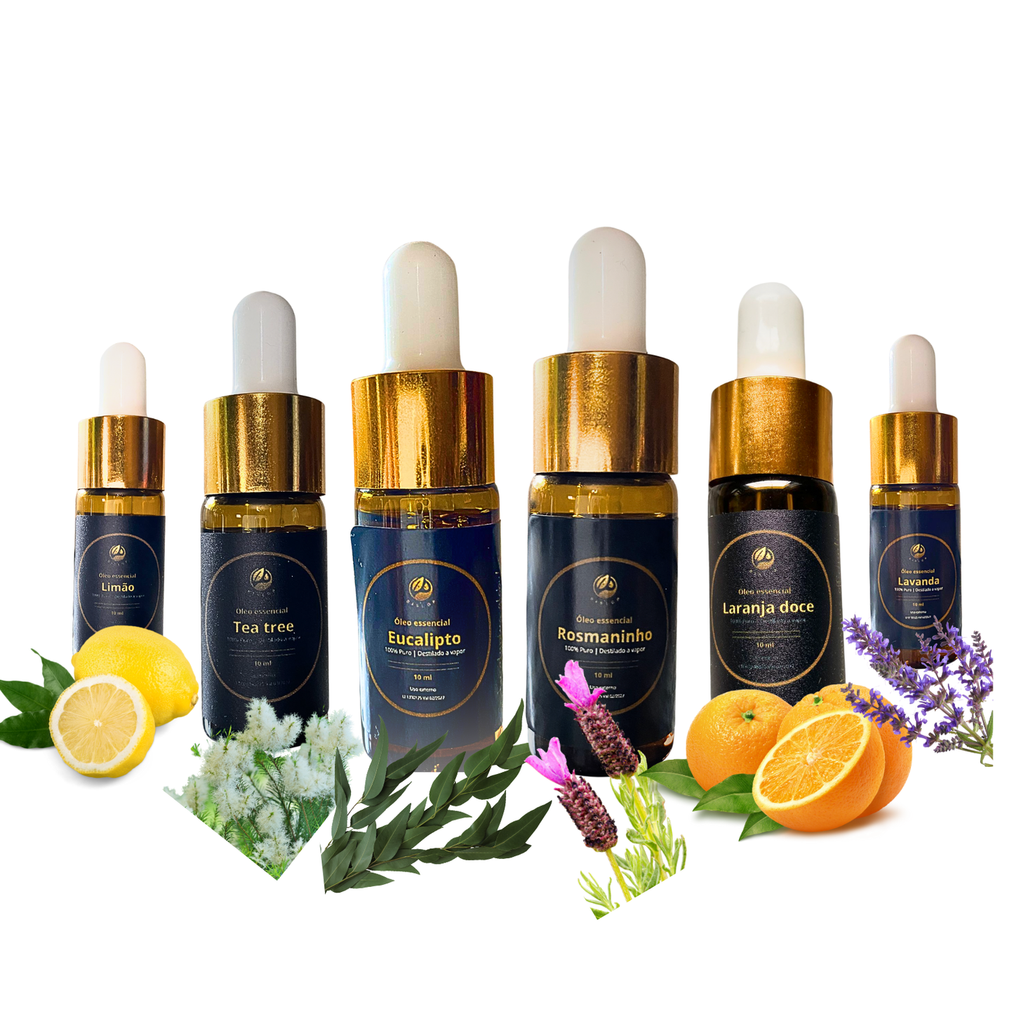 🌿 PACK COMPLETO DE AROMATERAPIA: Conjunto premium com 6 óleos essenciais 100% puros – Limão, Tea Tree, Eucalipto, Rosmaninho, Laranja Doce e Lavanda – ideal para quem quer variedade e versatilidade no bem-estar natural.